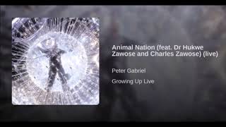 Peter Gabriel ~ &#39;Animal Nation&#39; (featuring Dr. Hukwe Zawose and Charles Zawose) [Live]
