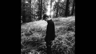 foreign forest - heart stained wrist icy