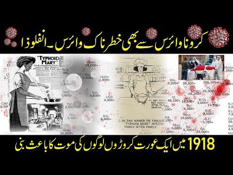 Mary Mallon Spreads Typhoid Across New York City | ایک عورت کڑوڑوں لوگوں کی موت کا باعث بنی