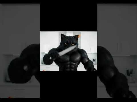 Cat Goes Full Rajinikanth Thalaivar Style in the Kitchen! 🥕🥒 #rajnikanth #cat #chef