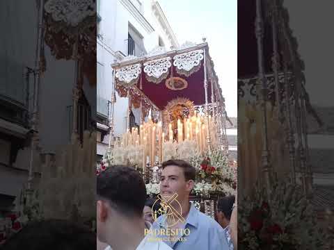 Carmen Santa Catalina Sevilla 2026 #semanasanta # #semanasantasevilla #santavirgen #2026 #jesus #fe