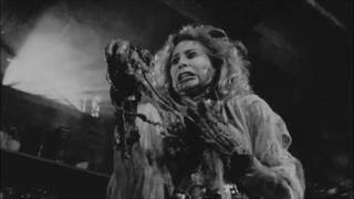 avulsed(spain)- carnivoracity(1994)