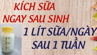 Download lagu Cách Kích Sữa Hiệu Quả Ngay Sau Sinh - Từ Vài Giọt Lên 1 Lít/Ngày Sau 1 Tuần Đầu mp3