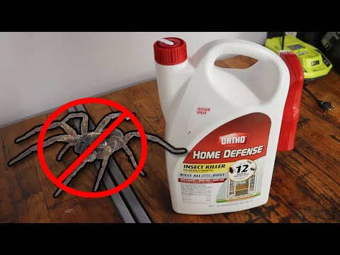 How to Get Rid of Spiders! Ortho Home Defense Spider, Ant, Cockroach Killer and Repellent Review