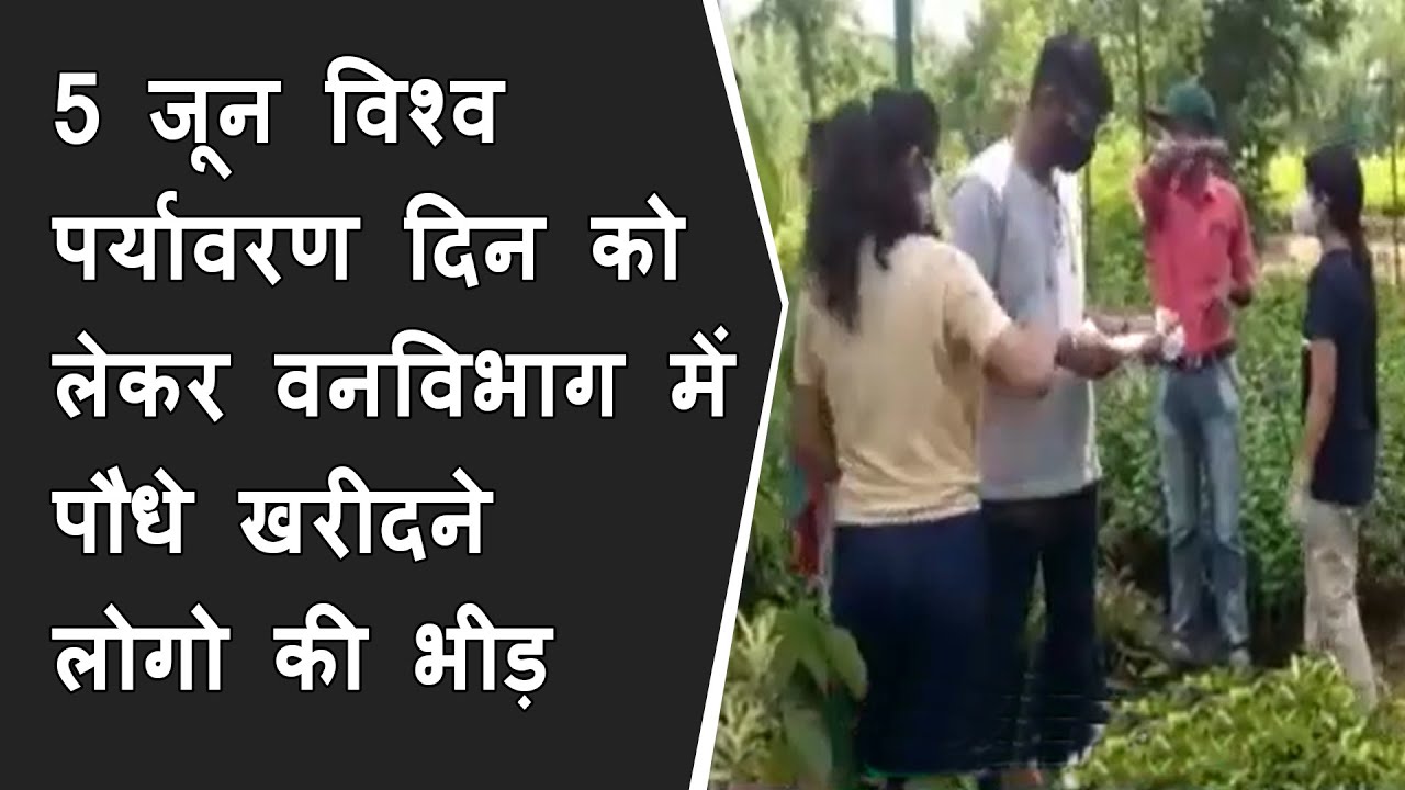 5 june World Environment day को लेकर वनविभाग में पौधे खरीदने लोगो की भीड़ BRG NEWS