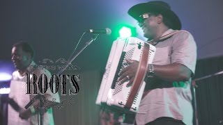 Nathan &amp; the Zydeco Cha-Chas