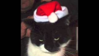 Barenaked Ladies at Christmas