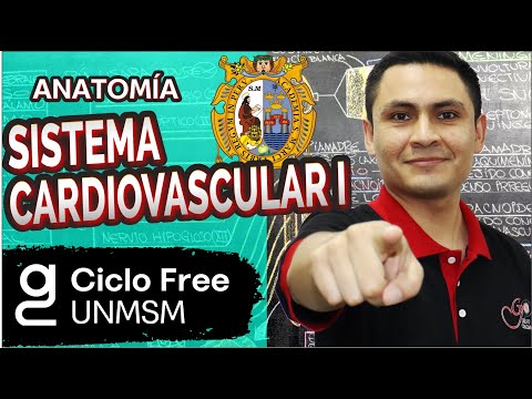 ANATOMÍA - Sistema Cardiovascular Parte 01 [CICLO FREE]