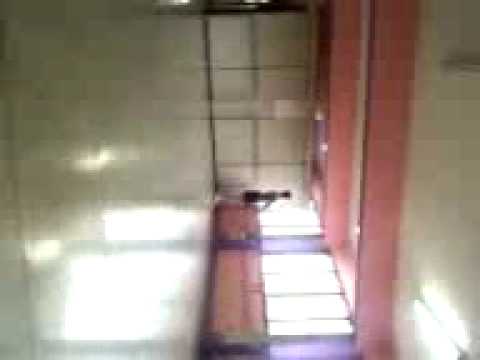 Coda de Chamas de Paris-Começo Bruna Vallentim