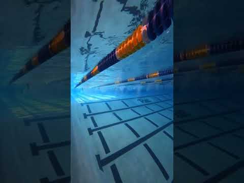 Women’s 100 Fly (Angle 2)