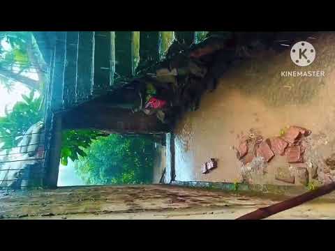 ପ୍ରବଳରୁ ପ୍ରବଳ ବାର୍ଷା 🏦🏦🏚️🏚️🏚️🏡🏡🏠🏠