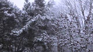 ♥ "Baby, It's Cold Outside" - Sammy Kaye