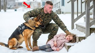 Little Girl Found Unconscious in the Snow — What a U.S. Marine and His K9 Did Next