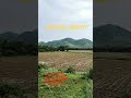 Panchi Suur Me Gaate Hai So Most Beautiful Song Heart Touching ️ ️ ️ ️ ️ ️ ️ Trending 