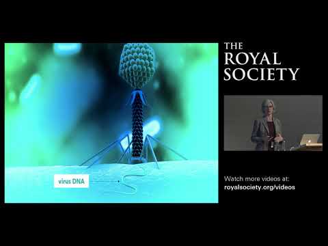 Re-writing the Code of Life: CRISPR Systems and Applications of Gene Editing