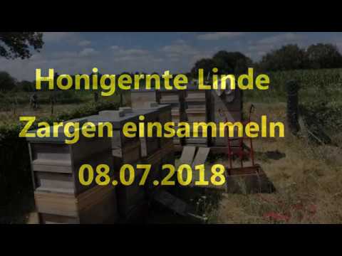 Honigernte Linde, Zargen einsammeln mit Bienenflucht 08.07.2018 *4K*