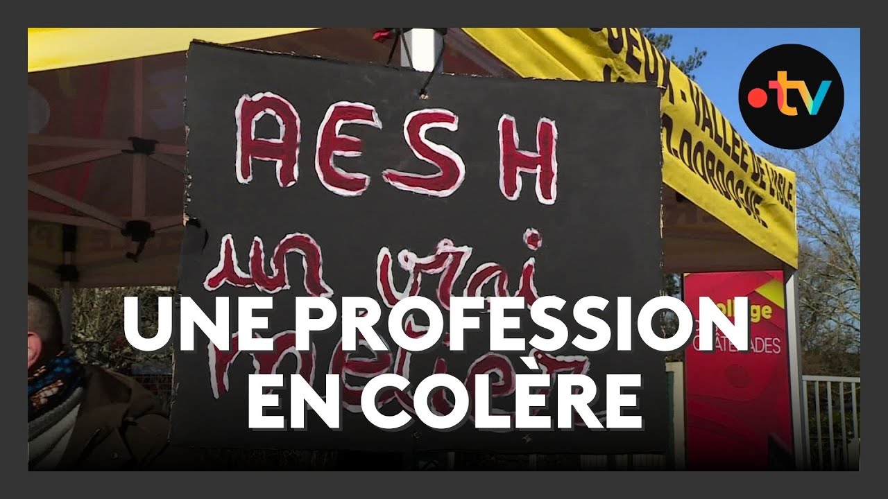 Grève : les AESH en manque de reconnaissance