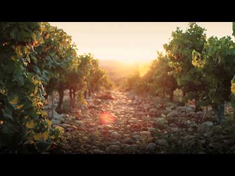 A7 2015: Chateauneuf du Pape Federation AOC video