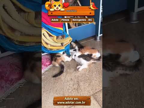 Vídeo de menina