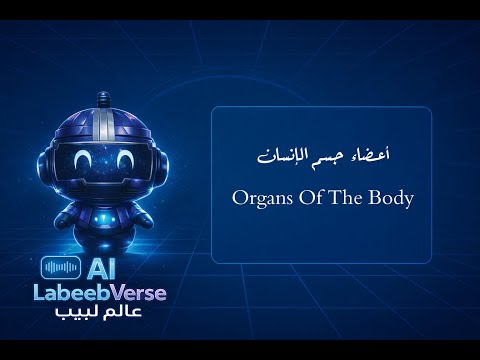 Organs of the Body video preview