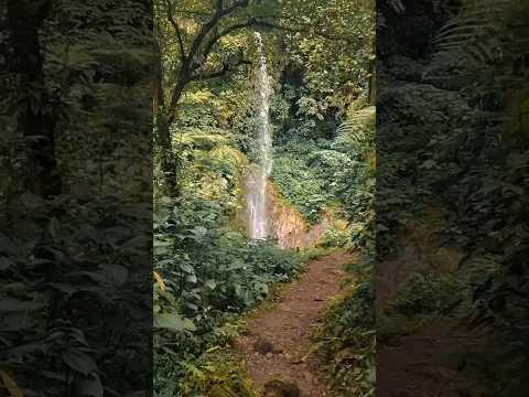 El Refugio del Quetzal, San Rafael Pie de la Cuesta, San Marcos.#GuateImpresionante