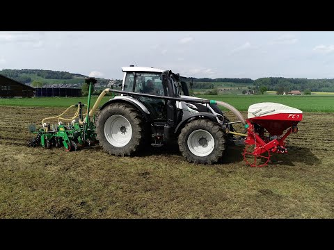 Maissaat Strip-Till direkt ins Grasland mit leichten Maschinen