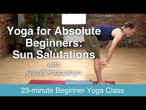 Hatha Yoga for Absolute Beginners with David Procyshyn: Sun Salutations