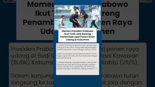 Momen Presiden Prabowo Ikut Tarik Jala bareng Penambak saat Panen Raya Udang di Kebumen