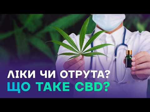 Вся правда про CBD-магазини в Україні: розслідування Kyiv City News