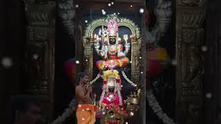 Download lagu 🙏அம்மானு கூப்பிடவா  அம்மன் பாடல்🙏status... mp3