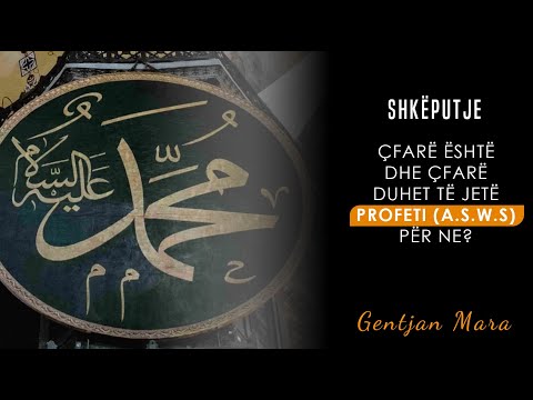 Ngritja e zërit ndaj Profetit(a.s). Çfarë është i Dërguari i Zotit dhe çfarë duhet të jetë për ne?!