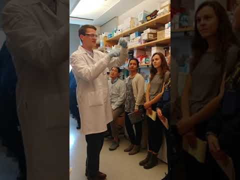 UCSF Hyperpolarized MR Seminar Lab #2: Sample Prep (2019)