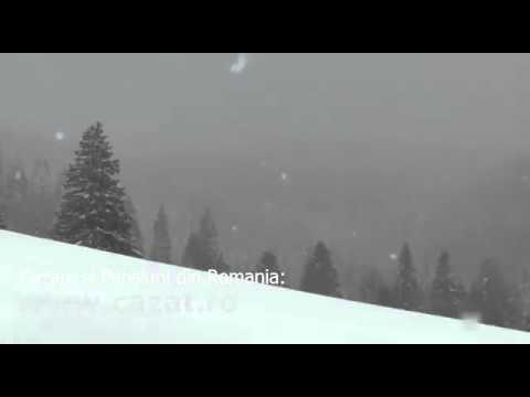 Cazare Dedovita Veche, Mehedinti - Cazat.ro