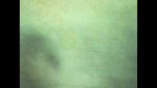 Carbon Leaf&#39;s New Album