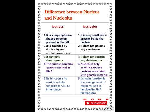 difference between nucleus and nucleolus