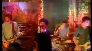 Shed Seven -  Bully Boy