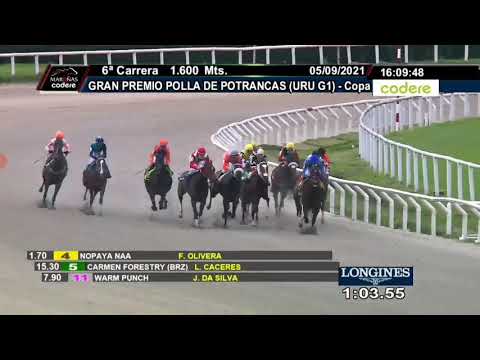 Hipodromo de Maroñas: Gran Premio Polla de Potrancas (URU G1) Relator: El piki