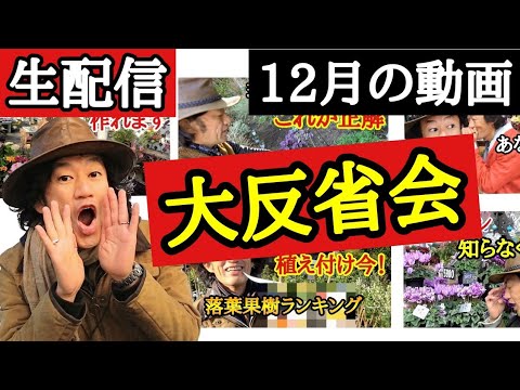 なぜ庭に硫黄を使うのですか？欠かせない4つの美徳  庭園