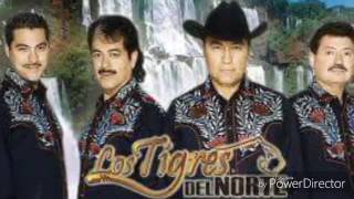 CANTINA MIX DE DJ FABRICIO TIGRES DEL NORTE