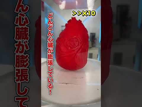 NASAの新しい宇宙服が公開:それが特別な理由だ