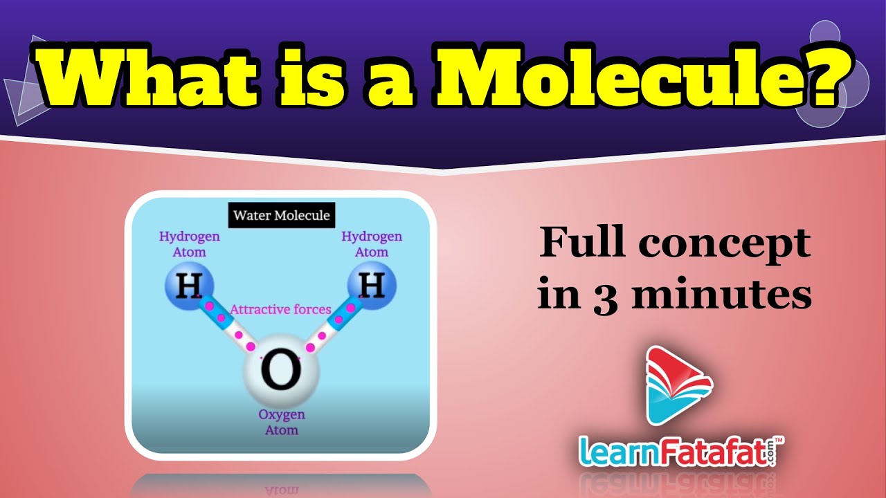 Class 9 Science Chapter 3 Atoms and Molecules - What is a molecule? | CBSE - LearnFatafat