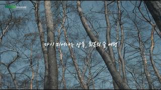 ‘다시 피어나는 산촌, 회복의 숲 여행’ (의성·안동)