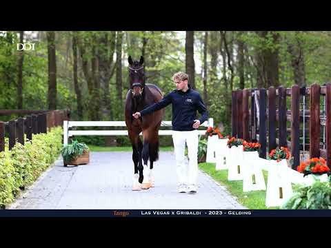 Tango conformation and hard ground