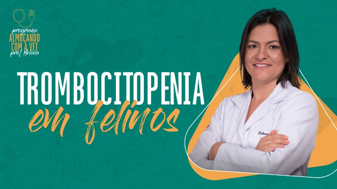 Trombocitopenia em felinos