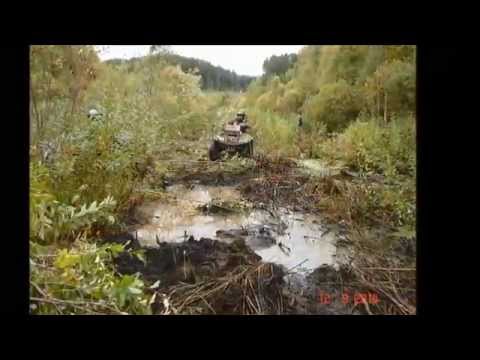 Смотреть видео Смотреть видео