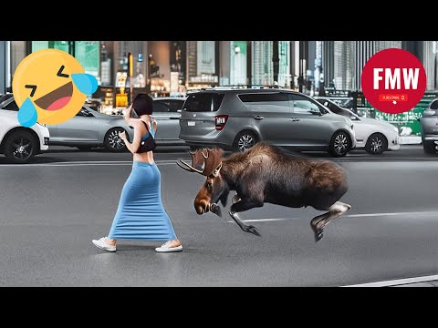 Funny & Hilarious People's Life 😂 #234 - Try not to Laugh | Instant Regret Fails Compilation 2024