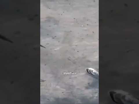 PREGUNTA ANTES DE JUZGAR !!!