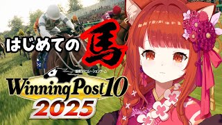 【 winning post 10 2025 】仔馬爆誕！！！ロクフリに向けて！【ラトナ・プティ/にじさんじ】