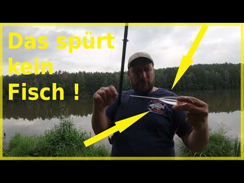 Angeln auf Zander Hecht und Aal über Nacht