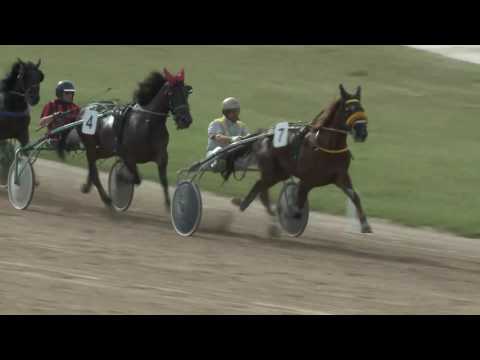 2017.06.10. 7. futam - DR. VECSEKLŐY JÓZSEF EMLÉKVERSENY - HEATVERSENY - II. FUTAM